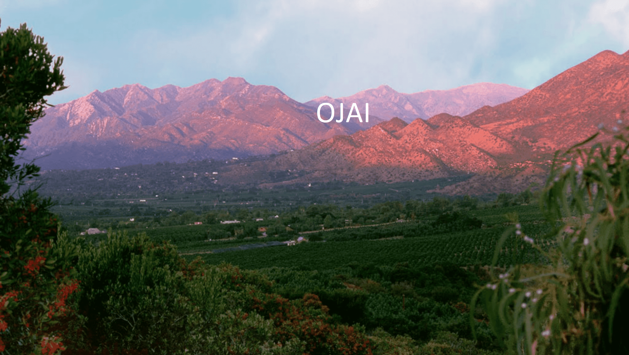 Taxi Cab Ojai