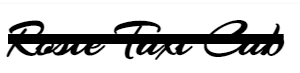 Rosie taxi cab provides airport transportation