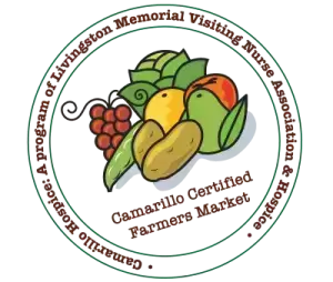 Rosie Taxi Cab provides airport transportation to any airport