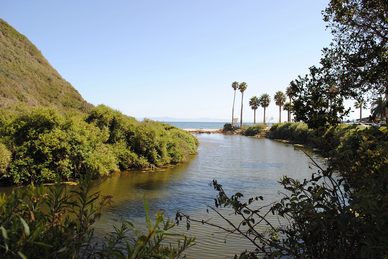 Arroyo Burro Beach Santa Barbara California