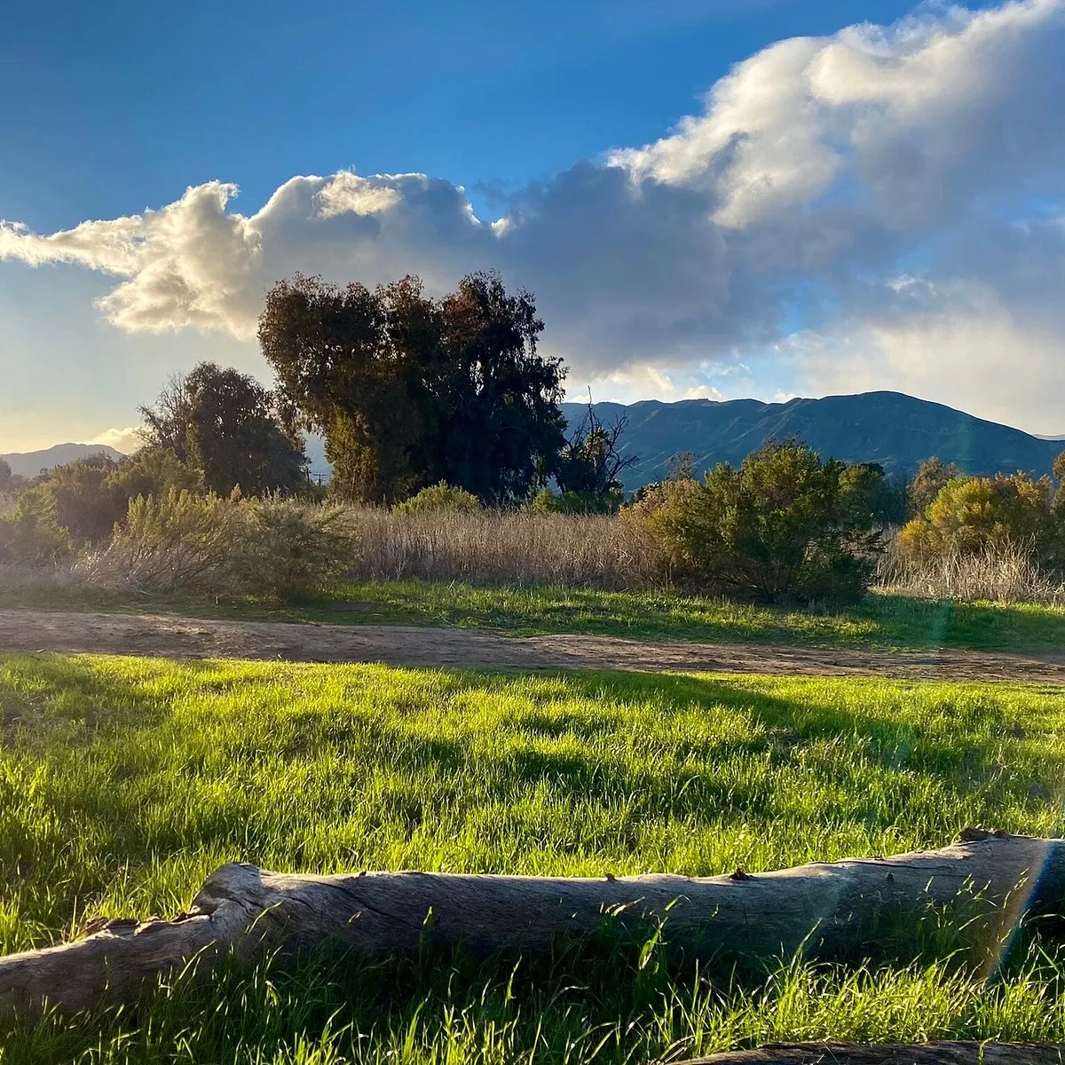 Ojai Meadows Preserve in Ojai California
