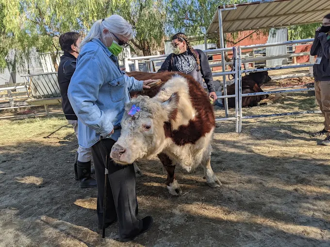 The Gentle Barn Santa Clarita California