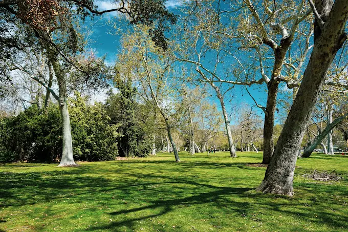 Verdugo Park Glendale California