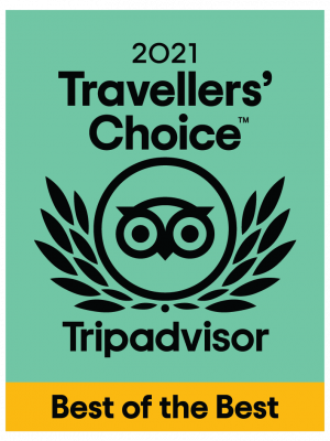 Trip Advisor Trip advisor, Rosie Taxi Cab Ratings, Reliable Airport Transportation
